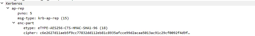 AP-REP Packet Capture
